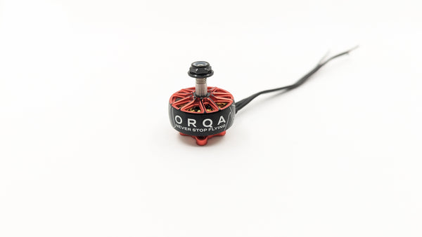 ORQA RTR 6S Motor